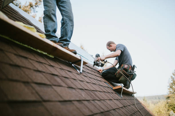 Best Metal Roofing Contractor  in Brambleton, VA
